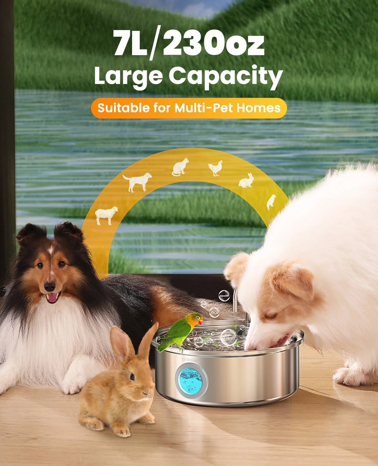 Oneisall 5L Automatic Cat Feeder with APP Control  for Two Cats - Image 12
