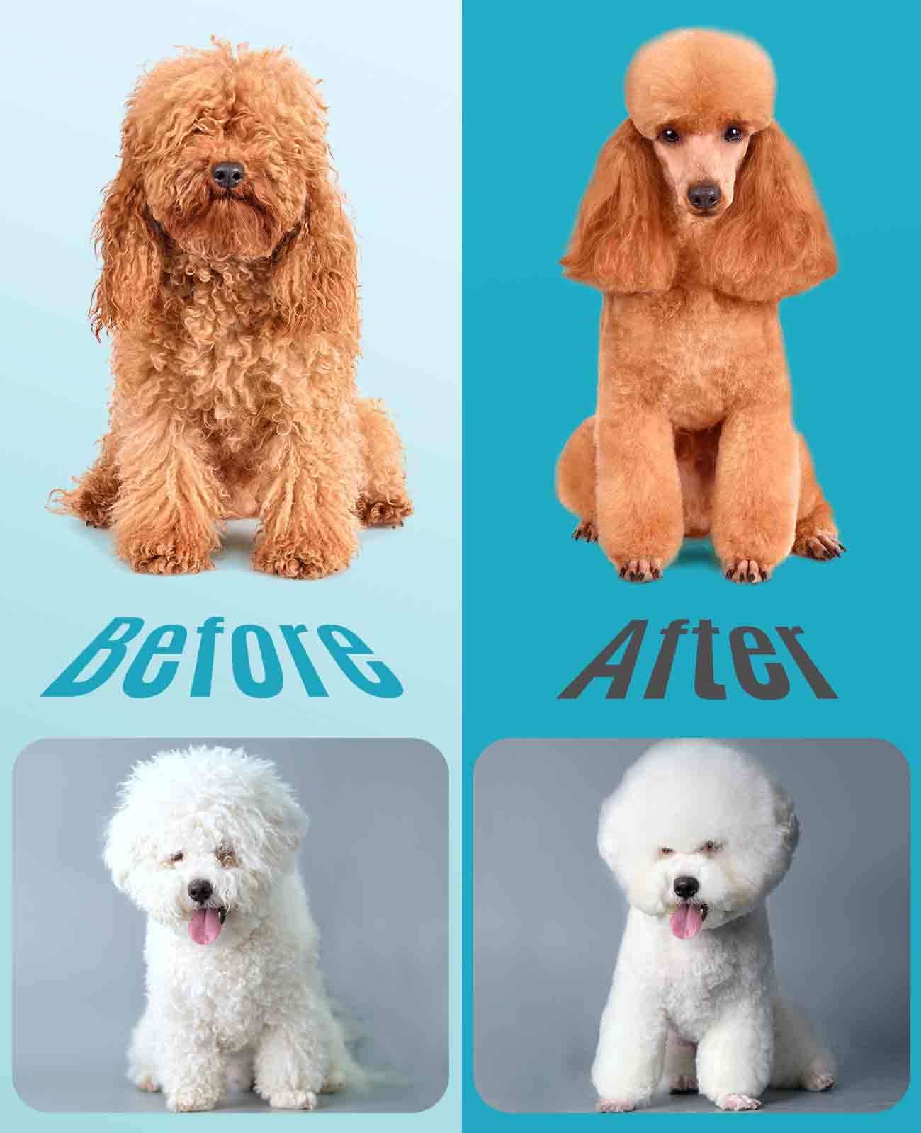 Oneisall DTJ-001 Dog Clipper for Thick Coat - Image 9