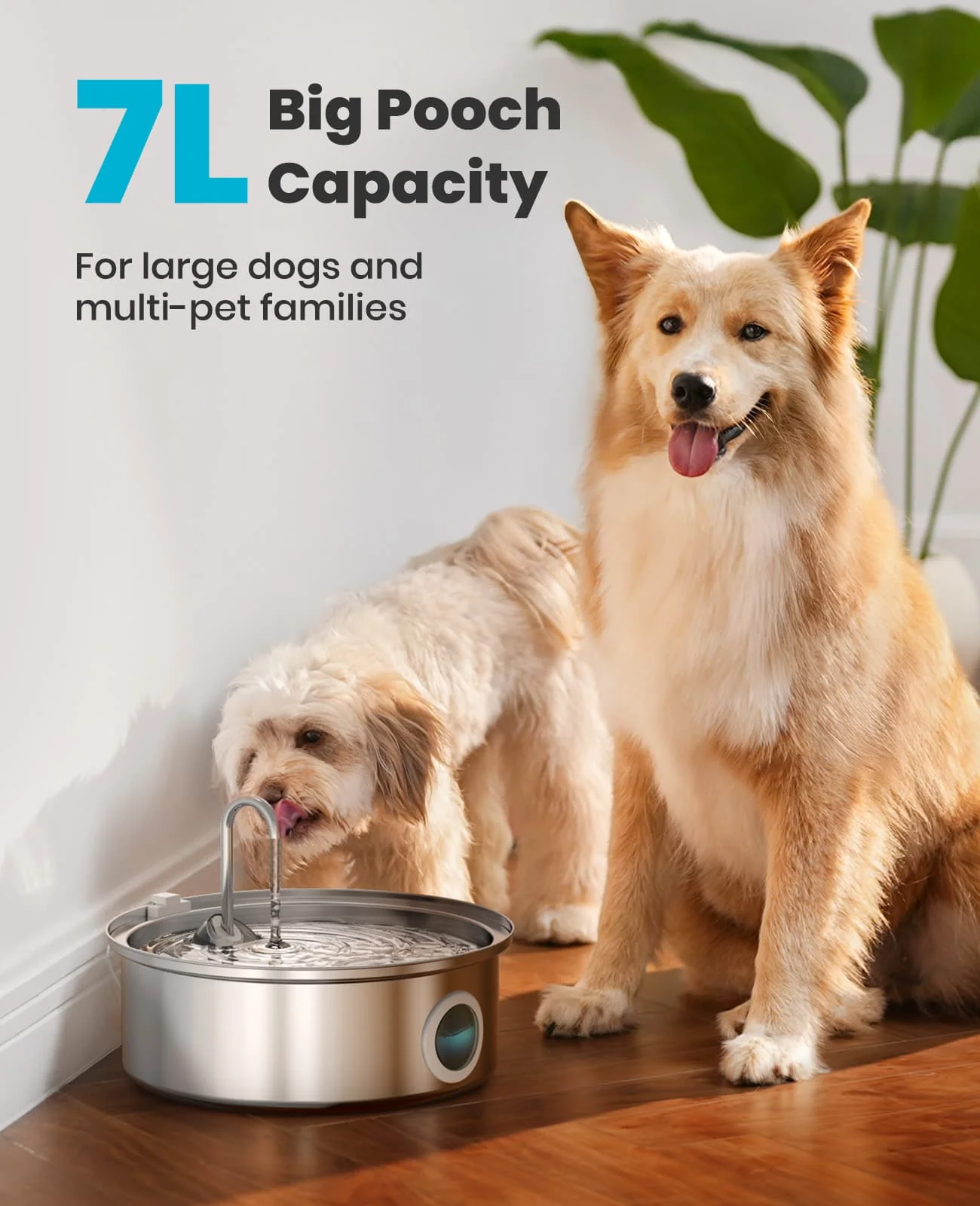 Oneisall Cozy C1 Pet Grooming Vacuum Kit & 7L Pet Water Fountain Set - Image 12